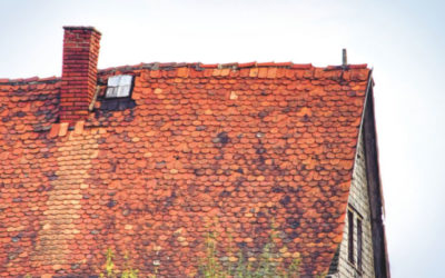 FAQs About Your New Roof