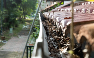 How to Know When It’s Time for Gutter Replacement: Key Signs to Watch For