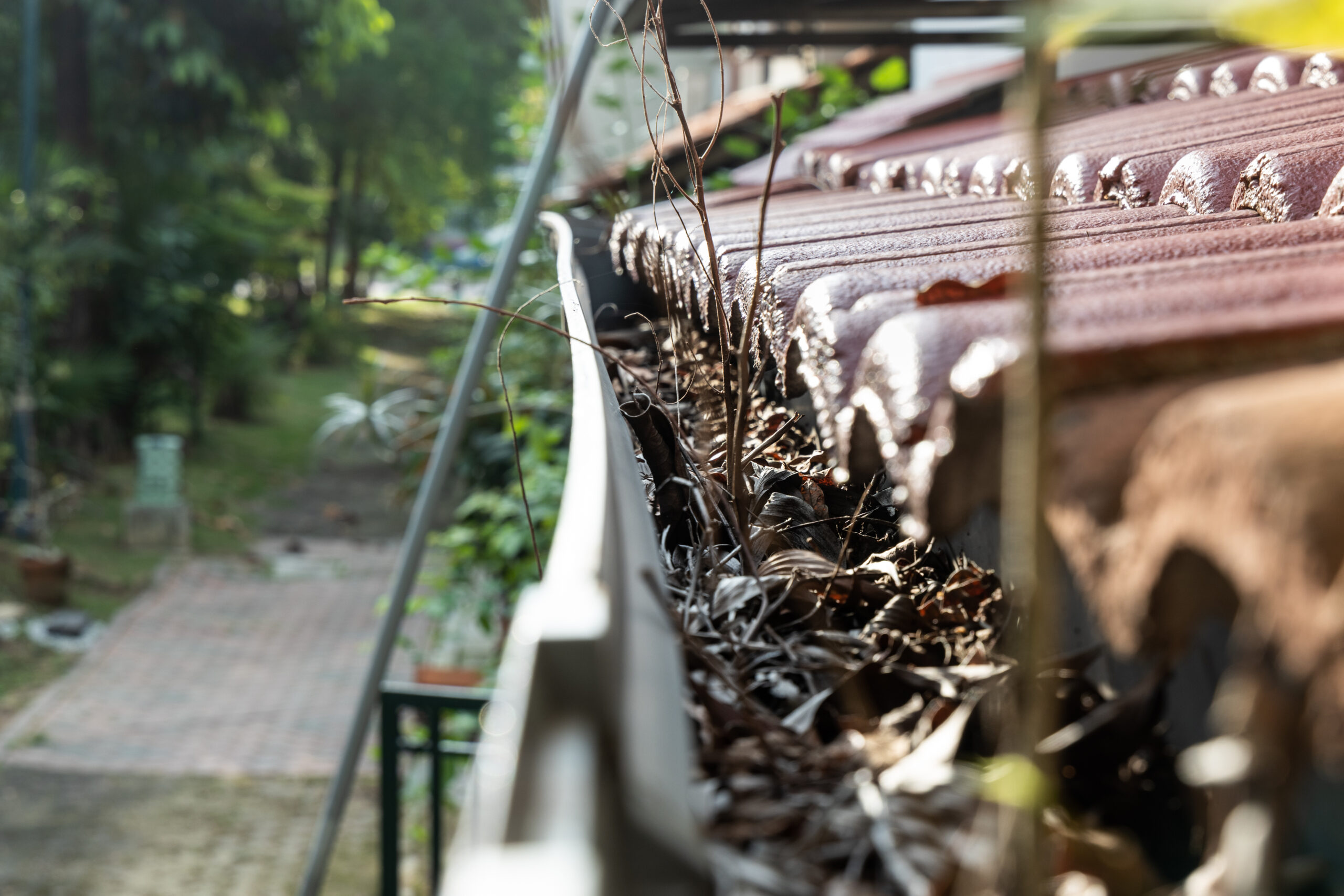 How to Know When It’s Time for Gutter Replacement: Key Signs to Watch For