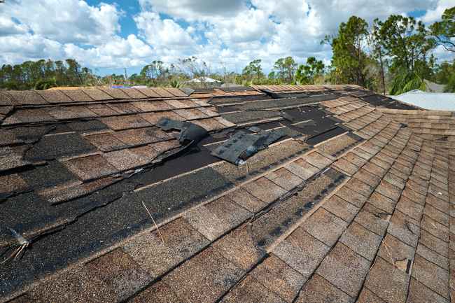 storm damage restoration expert Carmel IL