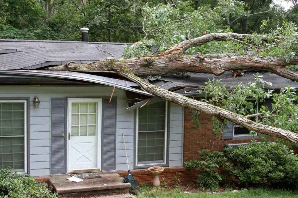 storm damage repair Fishers