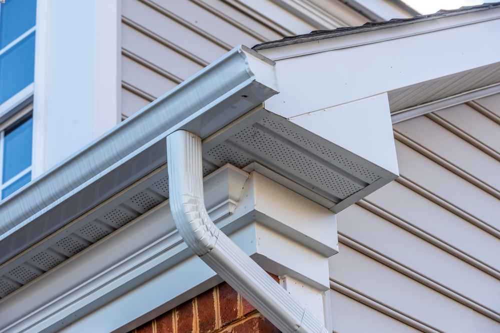 best gutter expert in Carmel IN